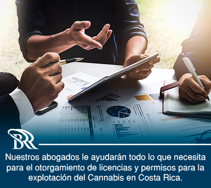 Abogados Asesoran Sobre Licencia de Comercialización de Cannabis en Costa Rica